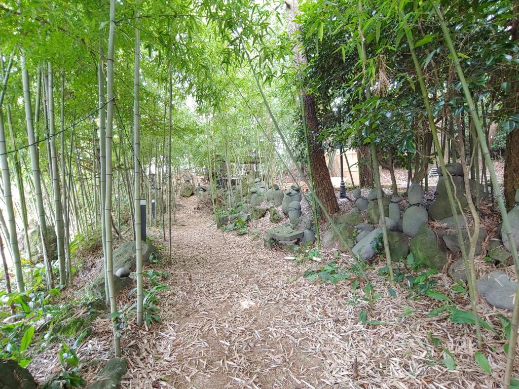 Star House photo 4