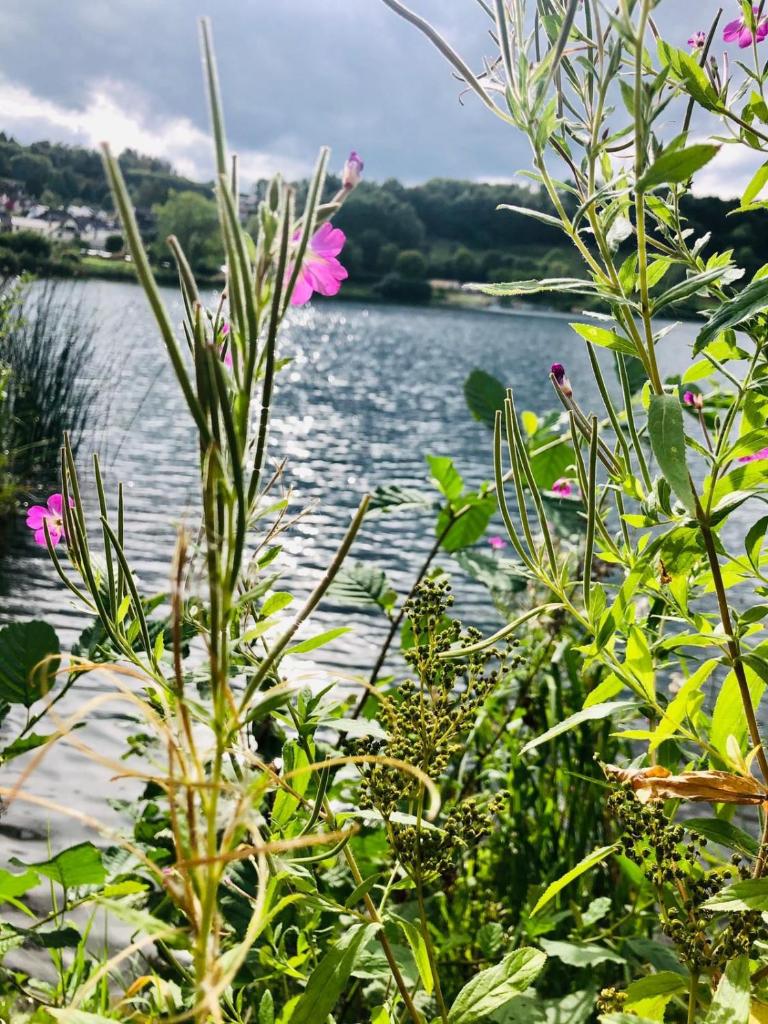 Ferienwohung Auszeit am Eifelsteig photo 1