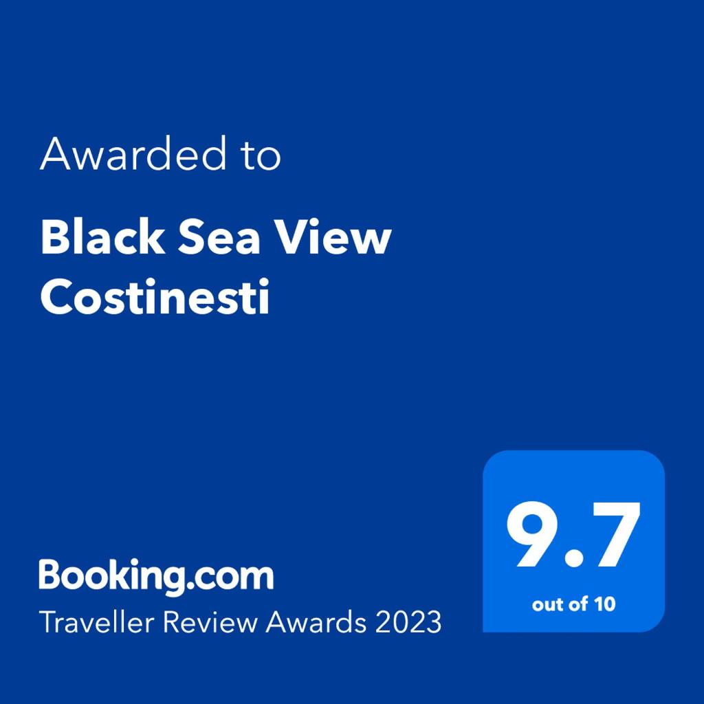 Black Sea View Costinesti photo 1