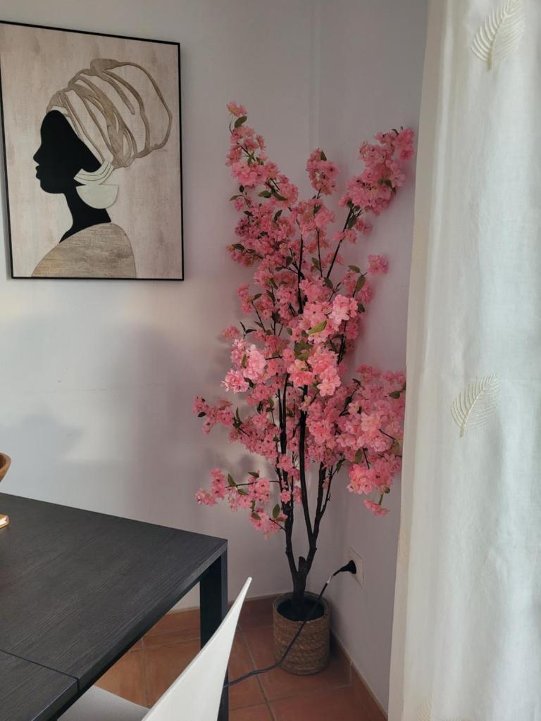 Casa PePe photo 4