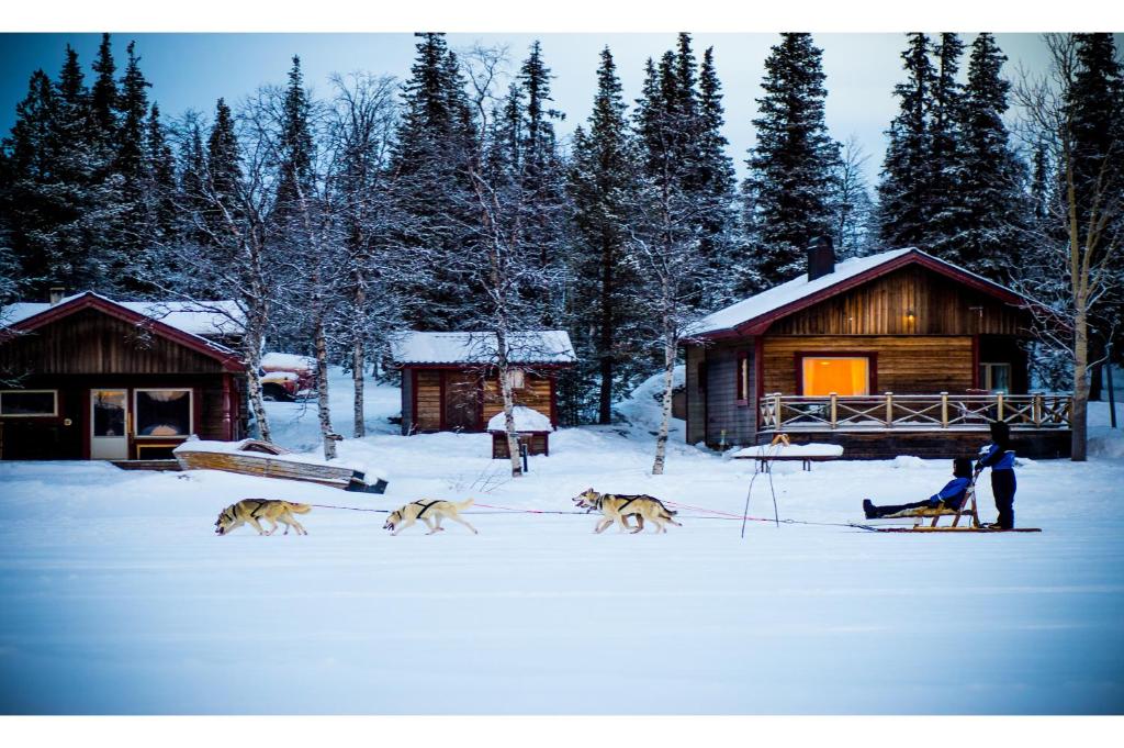 LAKESIDE AURORA CABINS