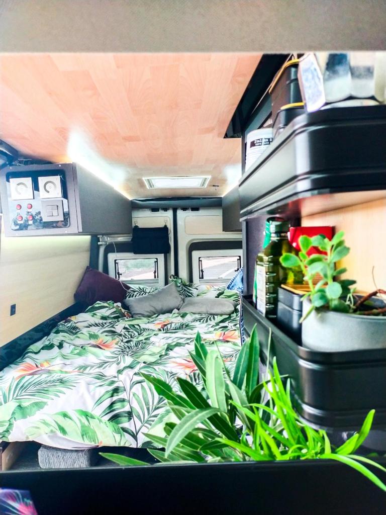 Camper Bronzita with Shower photo 3