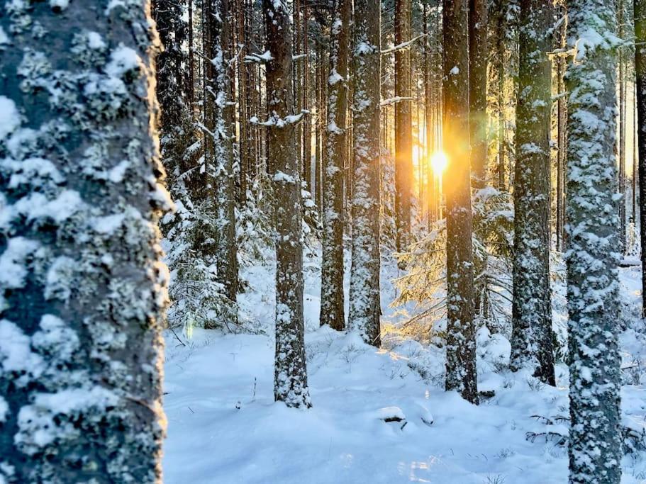 Långrösta; Ruime blokhut grenzend aan bos photo 2