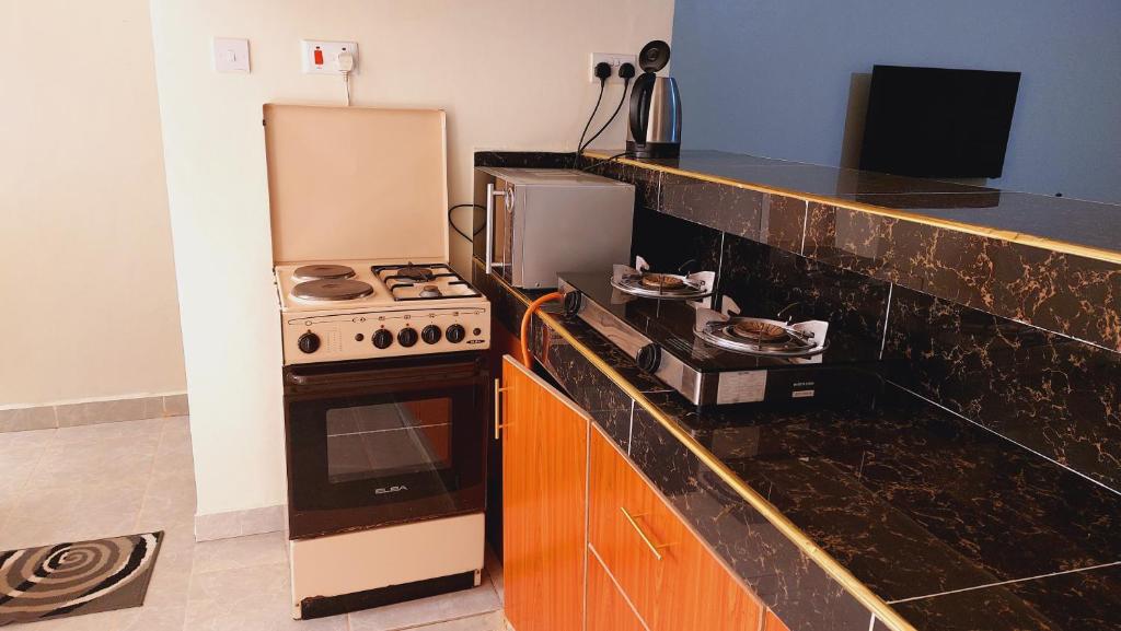 MaGiK Furnished All Ensuite 2 bedroom Apartment photo 4