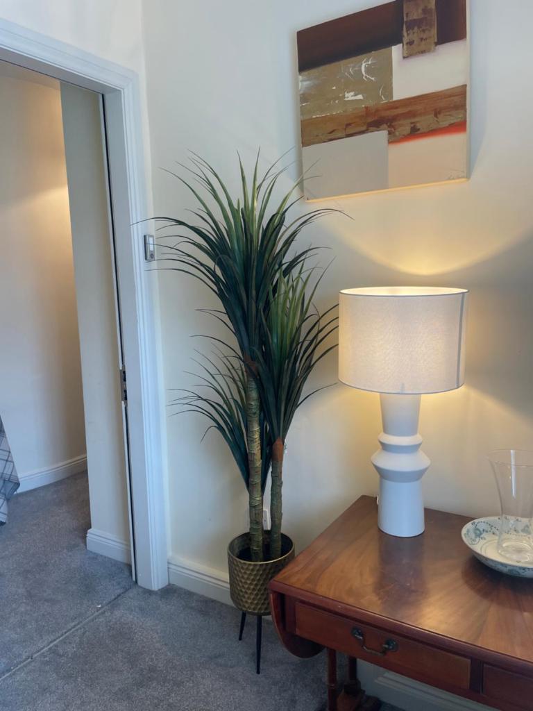 Dublin Road Townhouse photo 4