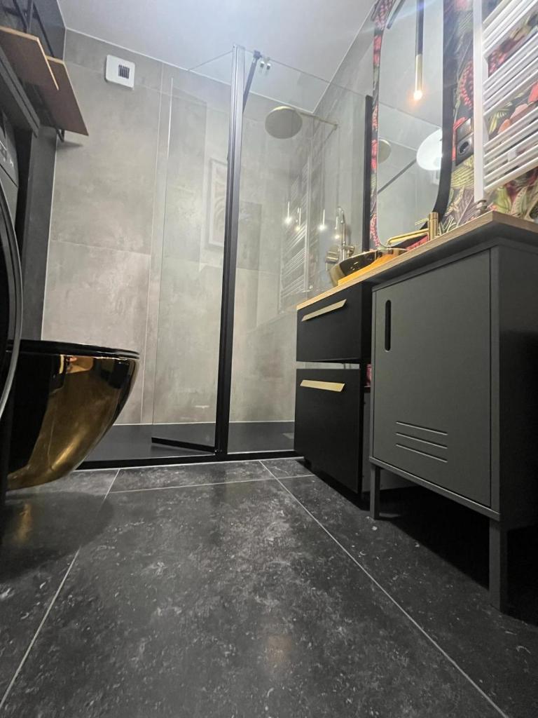 Apartament Monte Ślęża & Spa photo 1