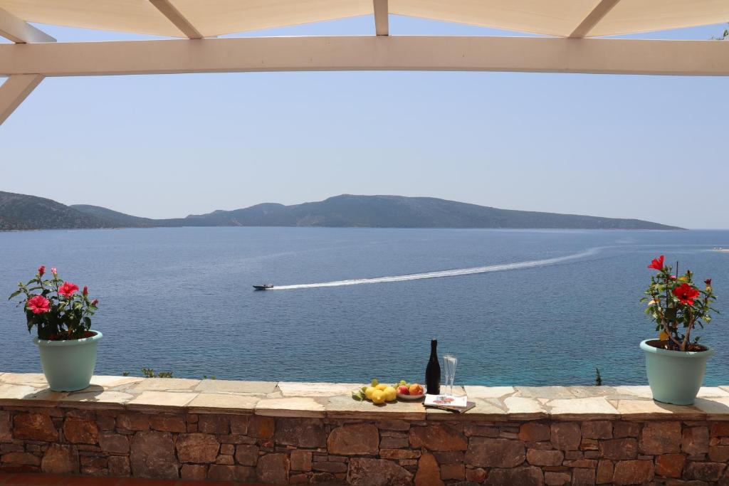 Alonissos Luxury Villa with Jacuzzi and Beach photo 4