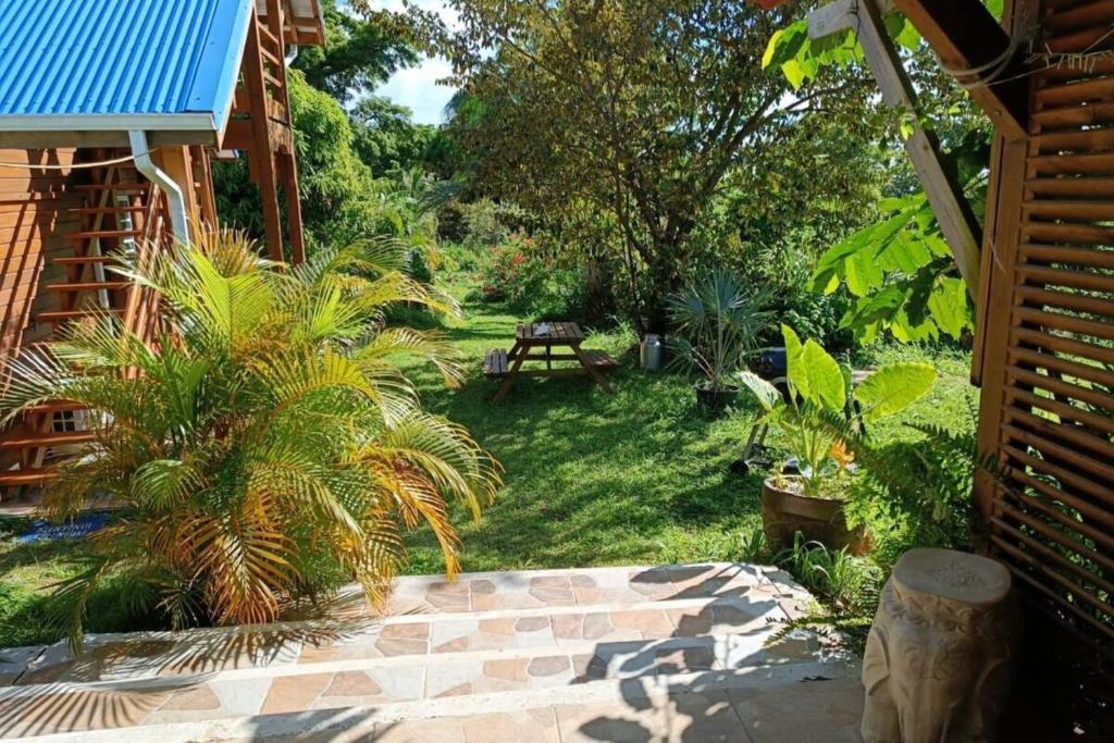 971F3 - Gîte Sud-Ô-Naturel "Palmier" sea view photo 3