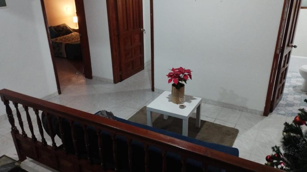 Mammamia CasaHotel photo 4