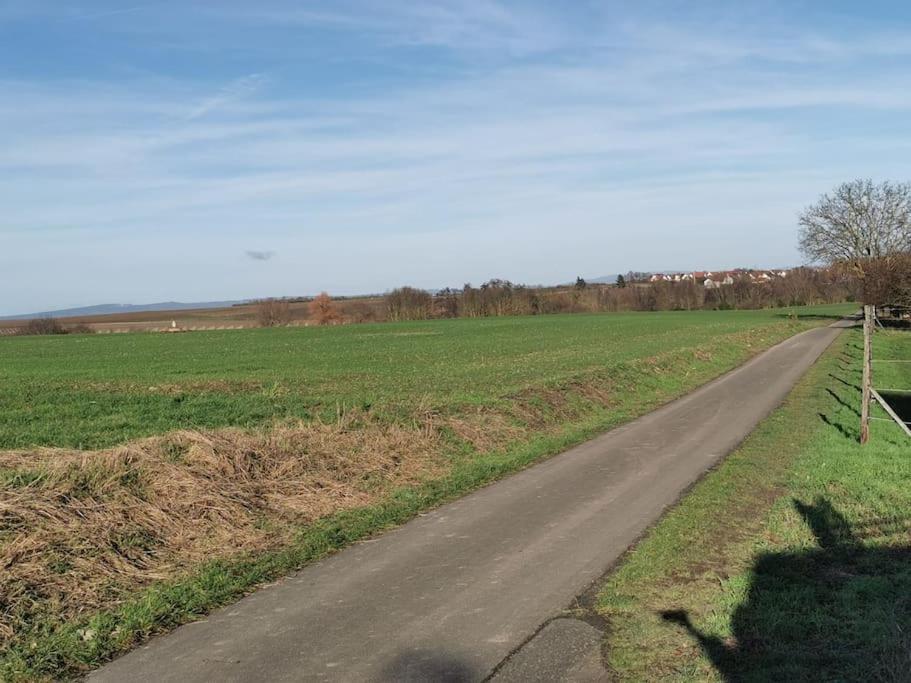 Ferienwohnung in der Natur photo 1