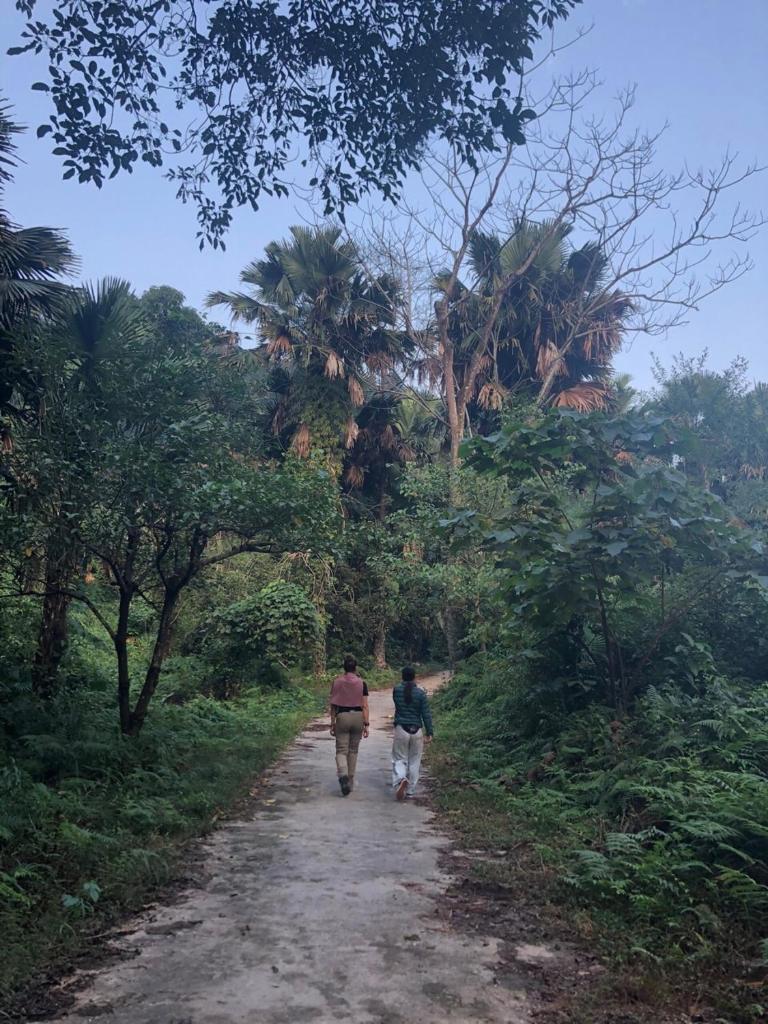 Bikki jungle homestay