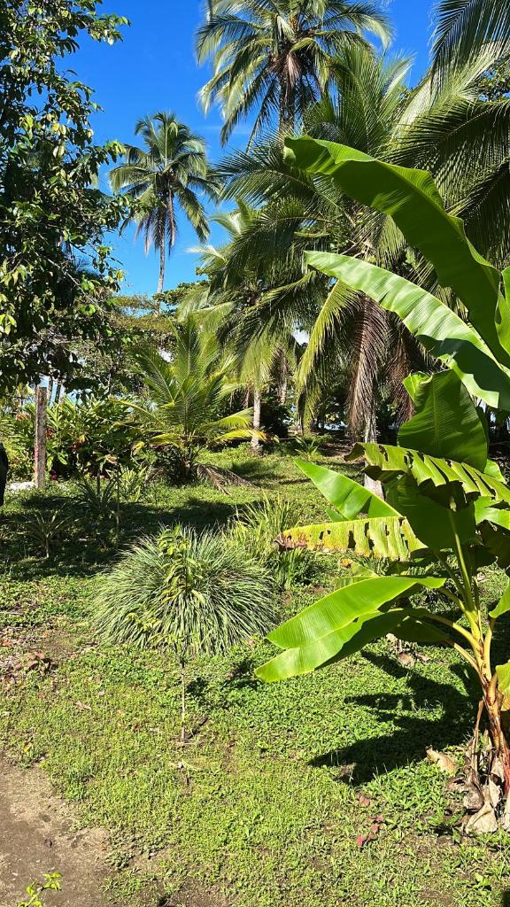 Popochos Beach Eco-Lodge photo 3