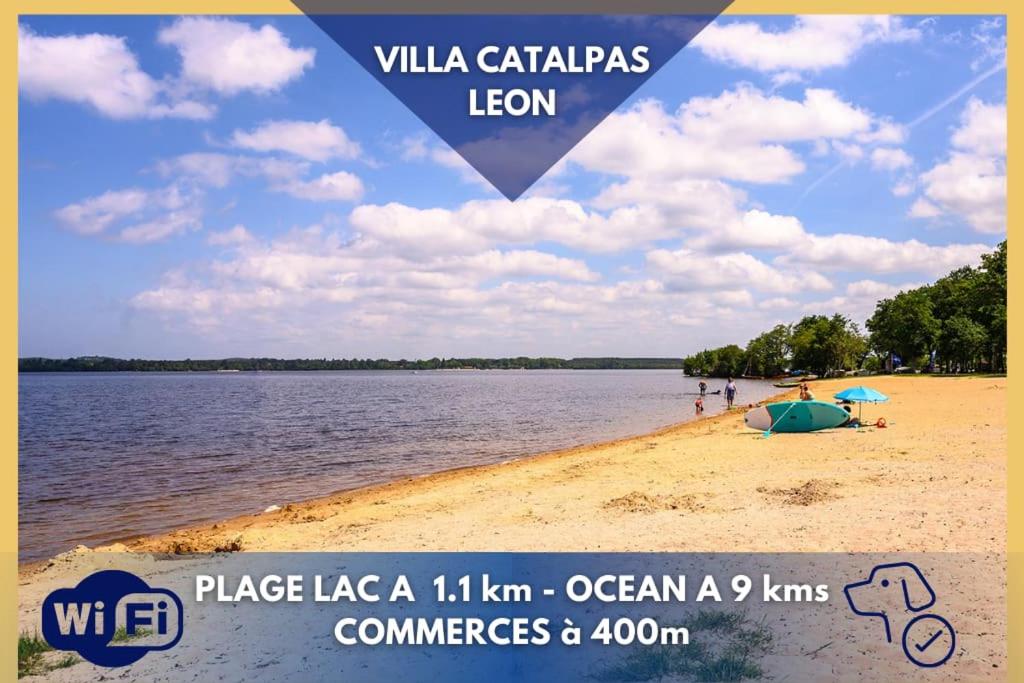 *Villa Catalpas* Landaise, rénovée avec piscine