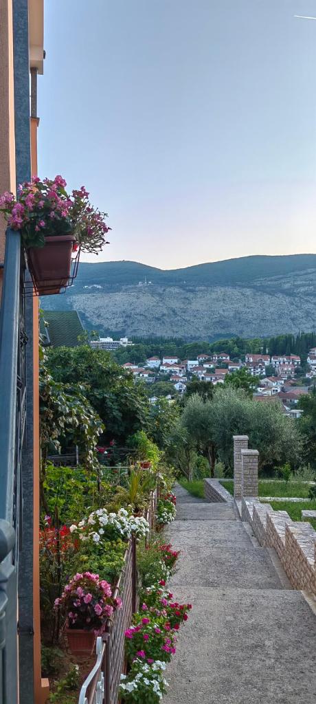 Apartmani Milicevic photo 4