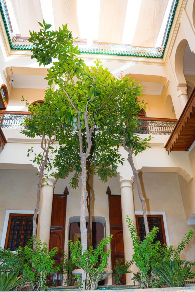 Riad Dar Zaouia photo 2
