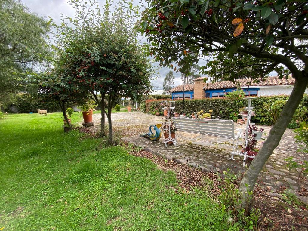 VILLA CONCHITA photo 1