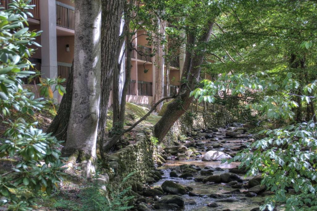 Hampton Inn Gatlinburg photo 3