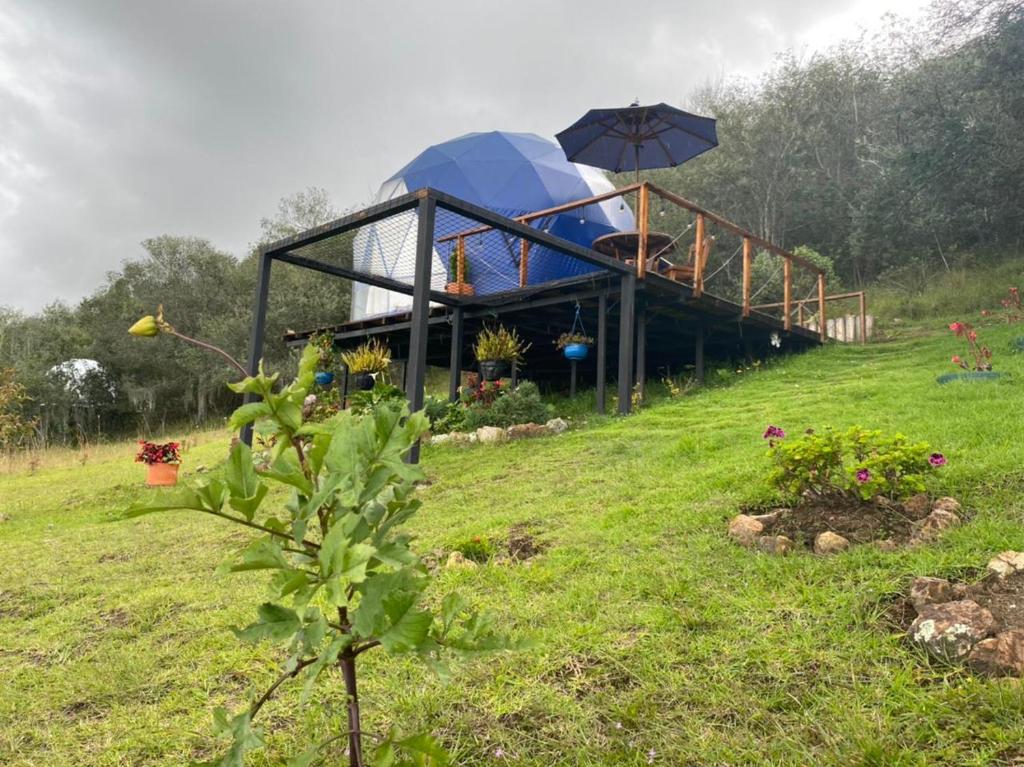 Glamping blue.