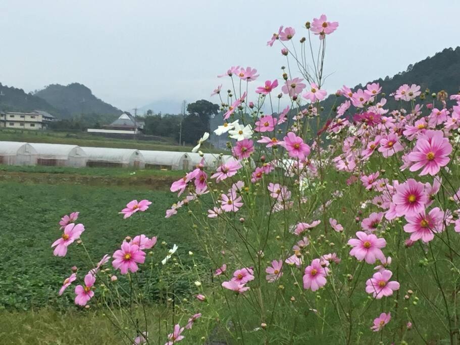 古民家 羅美 Japanese Old Style house La vie photo 3
