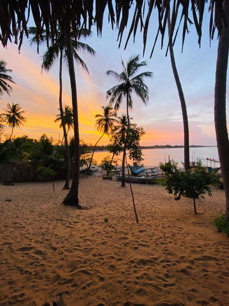 Ocean Vibe Srilanka