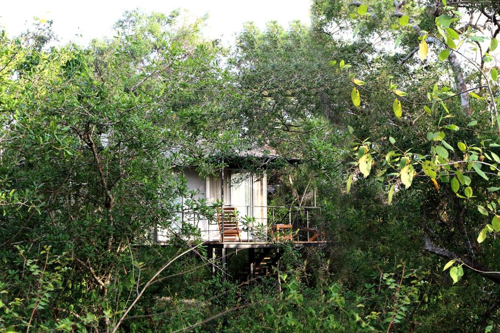 The Backwaters Lodge photo 4
