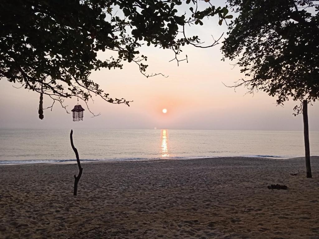 HOME NO 3 khanom photo 4