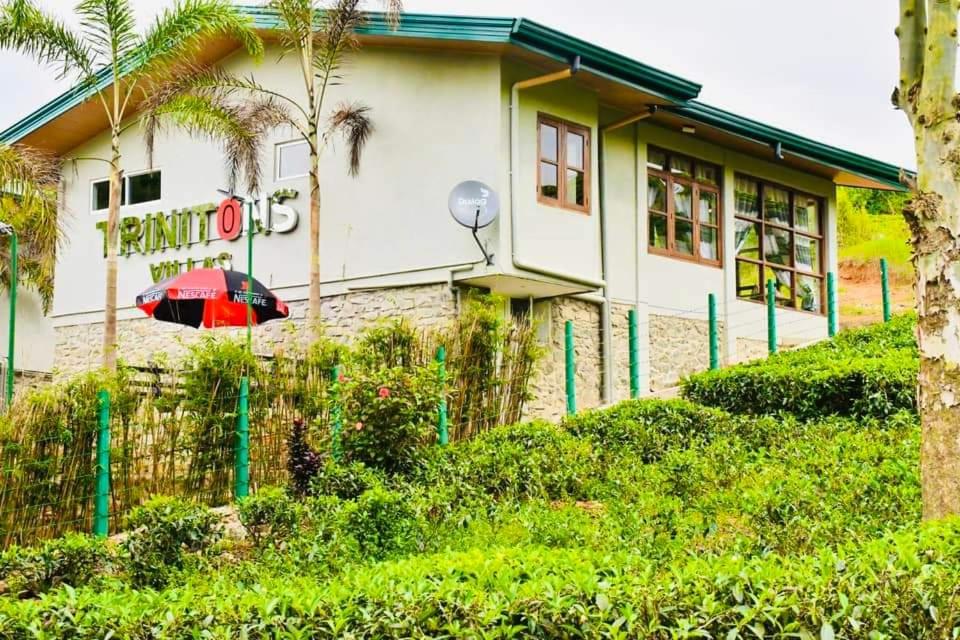 Triniton Holiday Villas photo 3