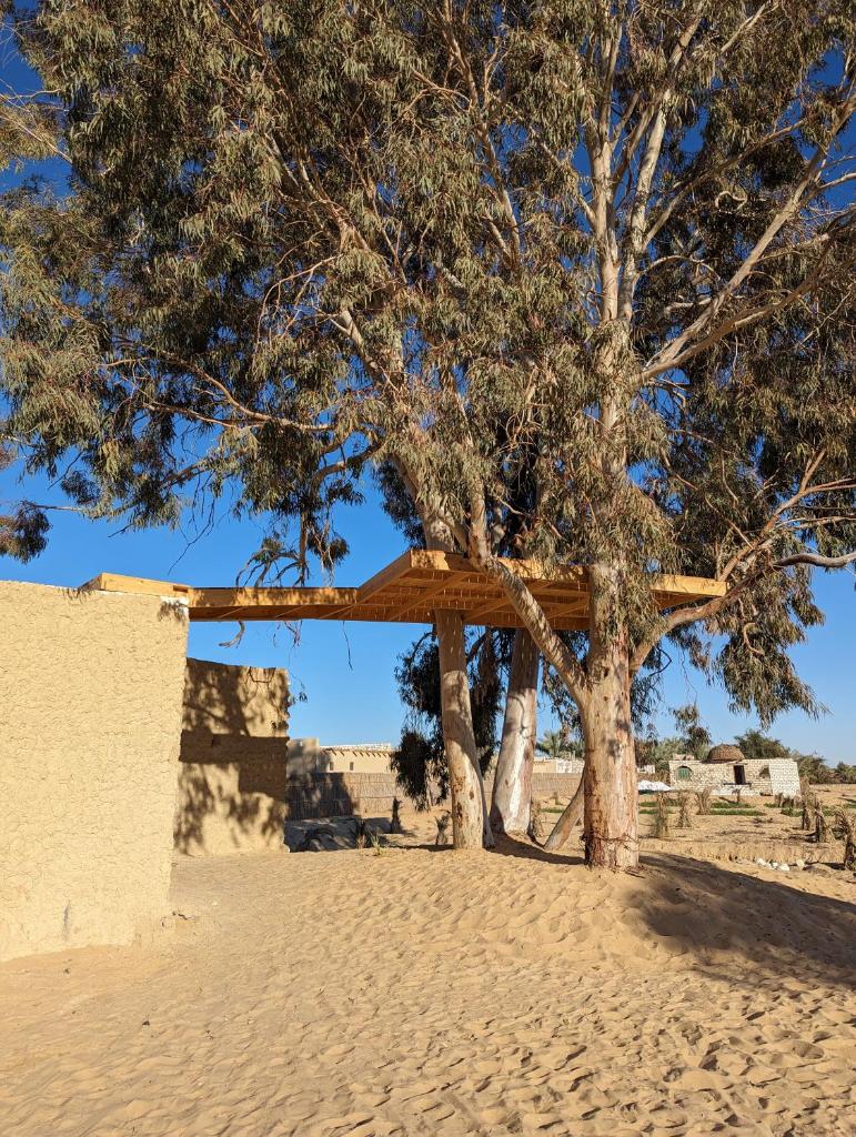 Cafour House Siwa - Hot Spring photo 2