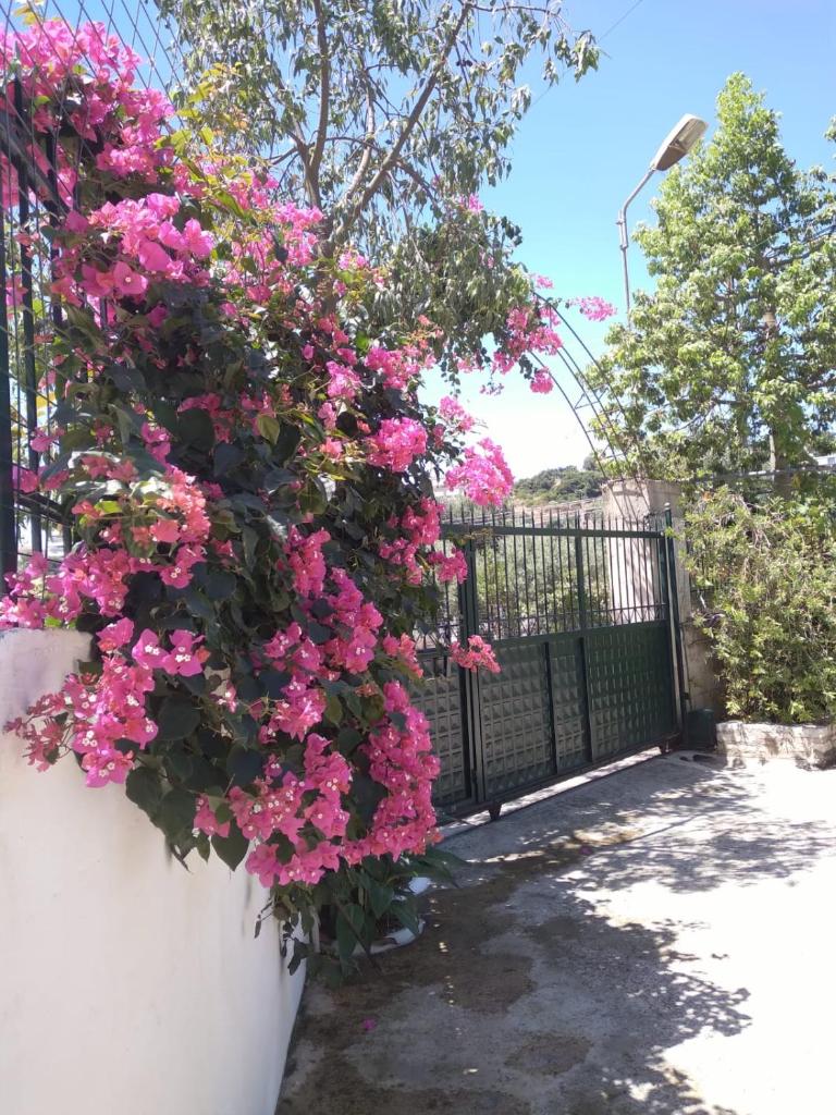 Oasis Hostel