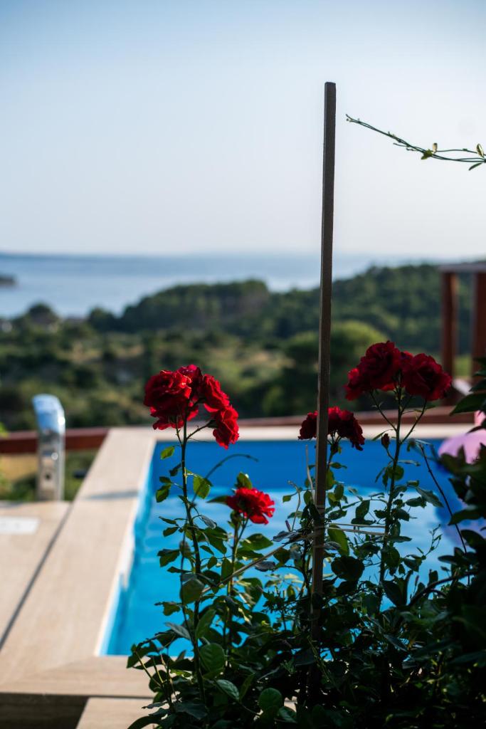Etno Villa Matušanovi Dvori photo 1