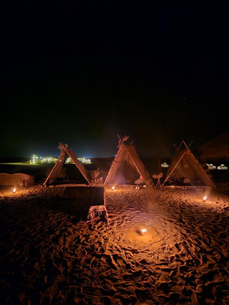 flamingo camp photo 4