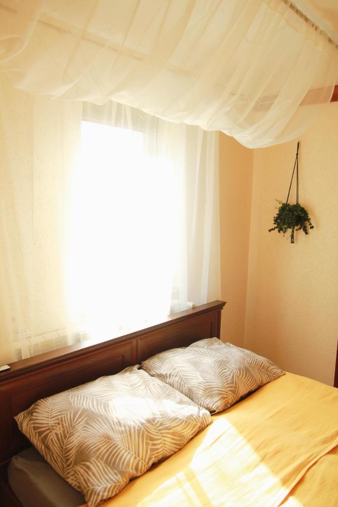 Apartament ZAMURNA 4 photo 3