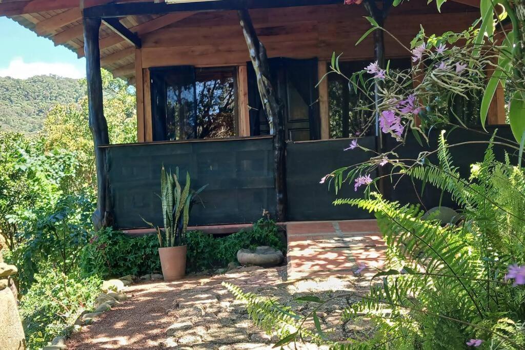 Casa Monstera photo 3