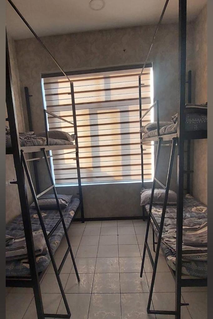 Lotos hostel photo 4