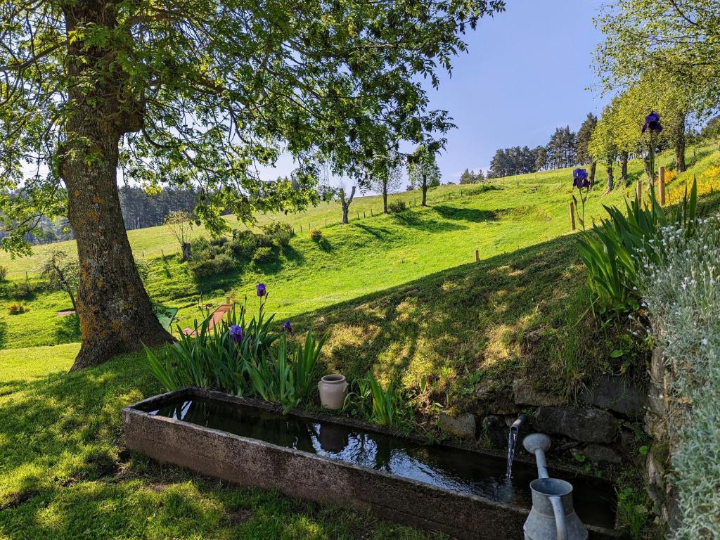 Gîte Saint-Préjet-d'Allier, 5 pièces, 8 personnes - FR-1-582-59 photo 1