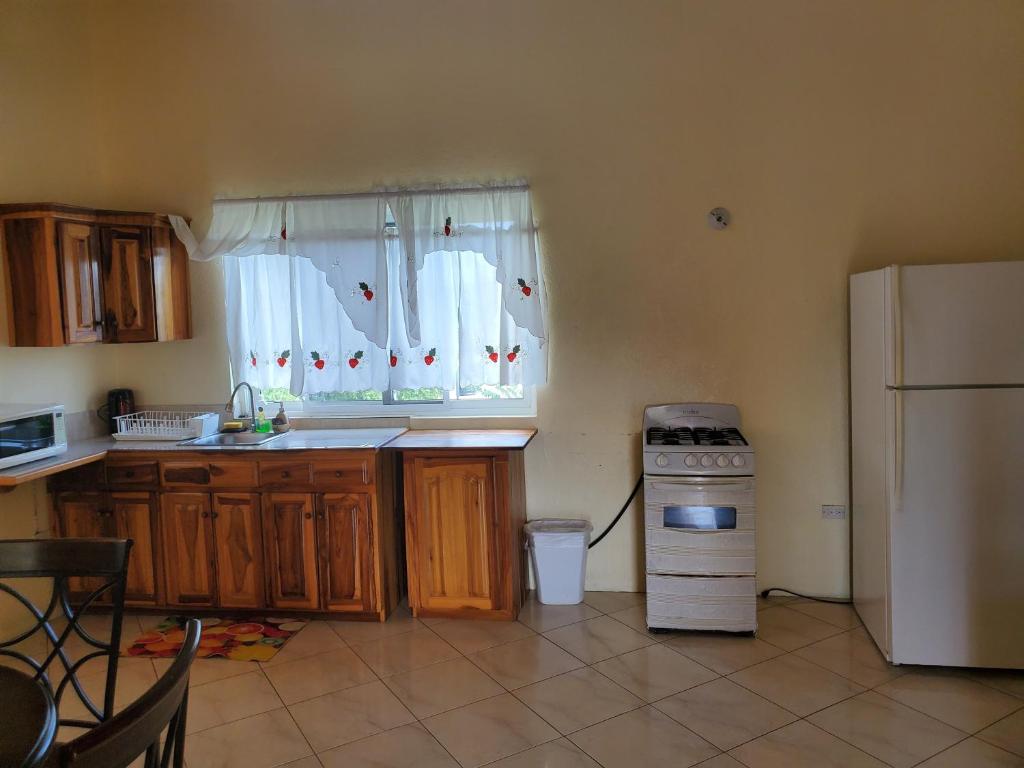 Wizzy Apartment White River photo 4