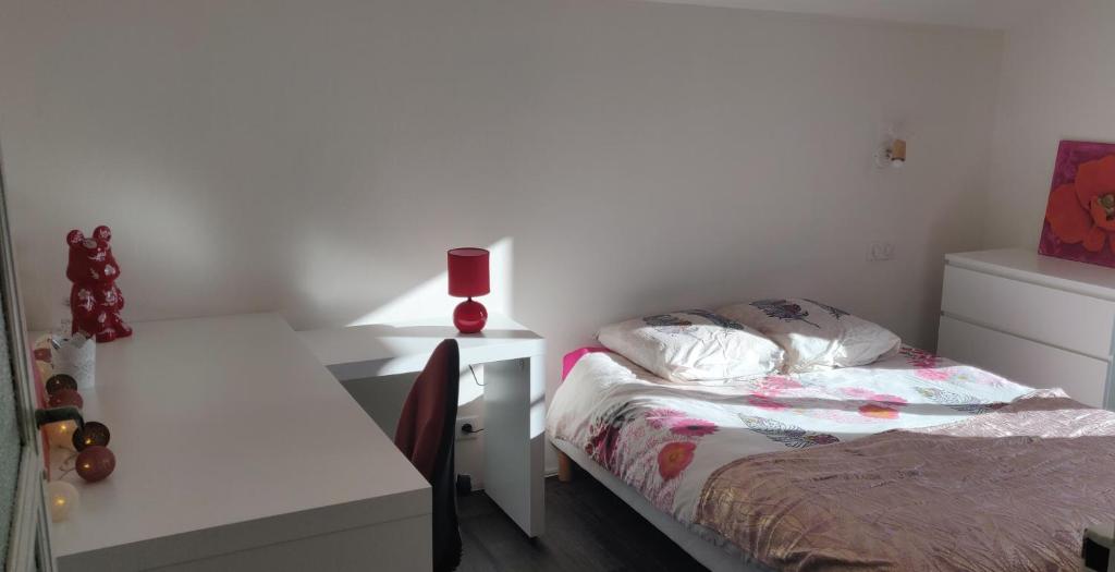 Le 135, logement spacieux entre ville et volcans photo 3