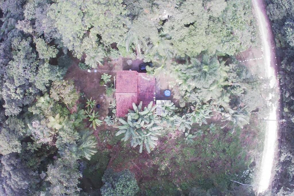 Casa simples na Mata Atlântica