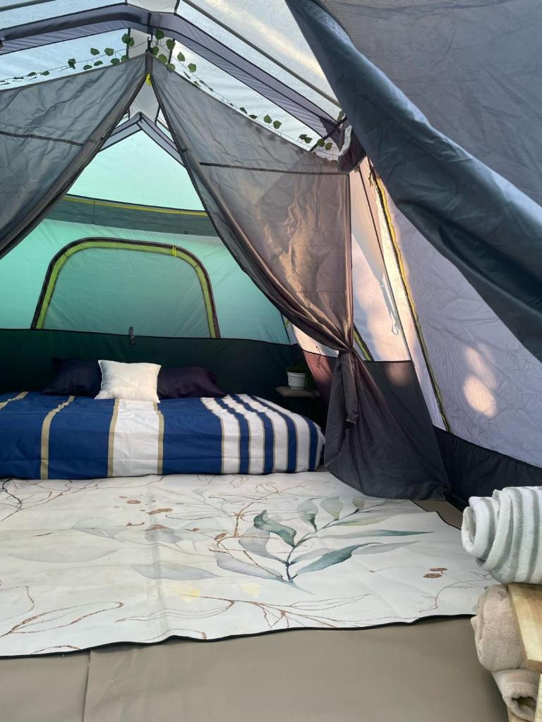 Glamping Las Palmas photo 2