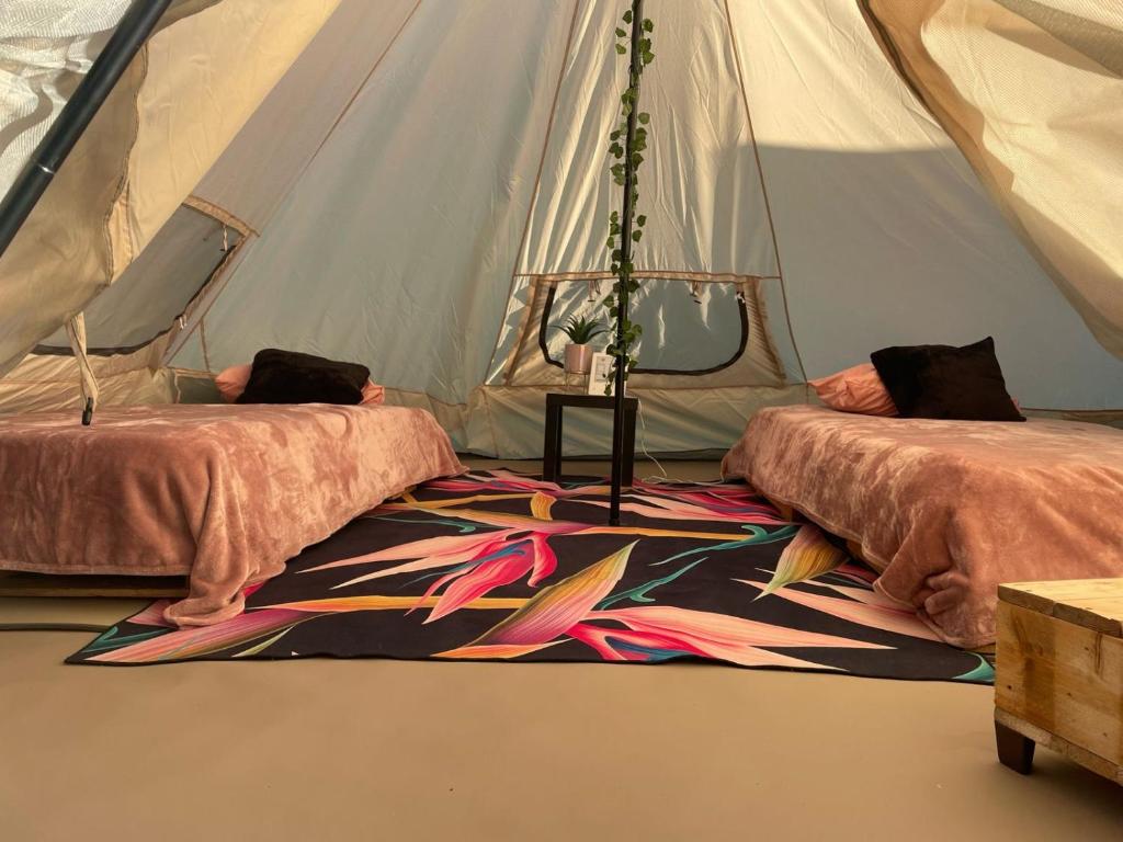 Glamping Las Palmas photo 3