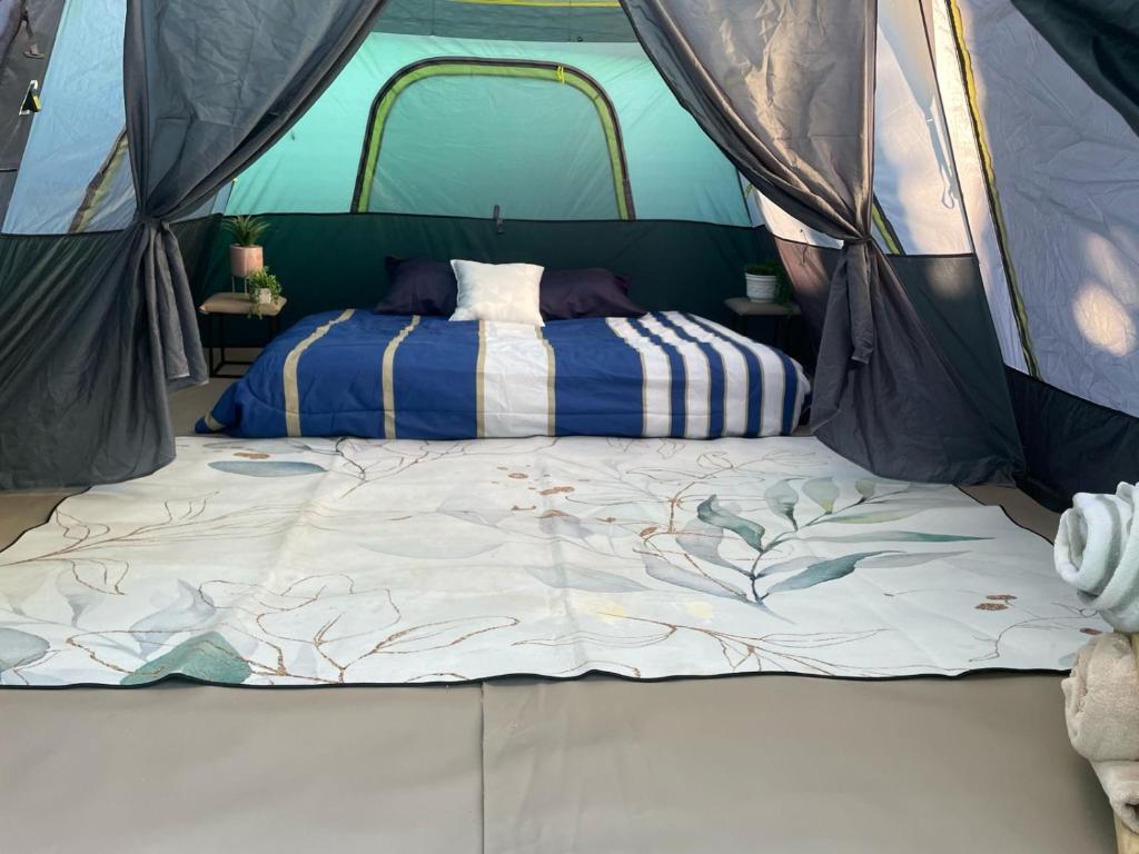 Glamping Las Palmas photo 4