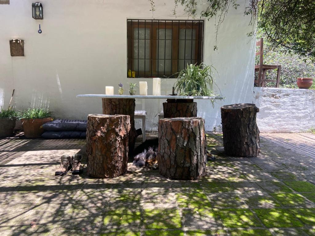 La Casita photo 3