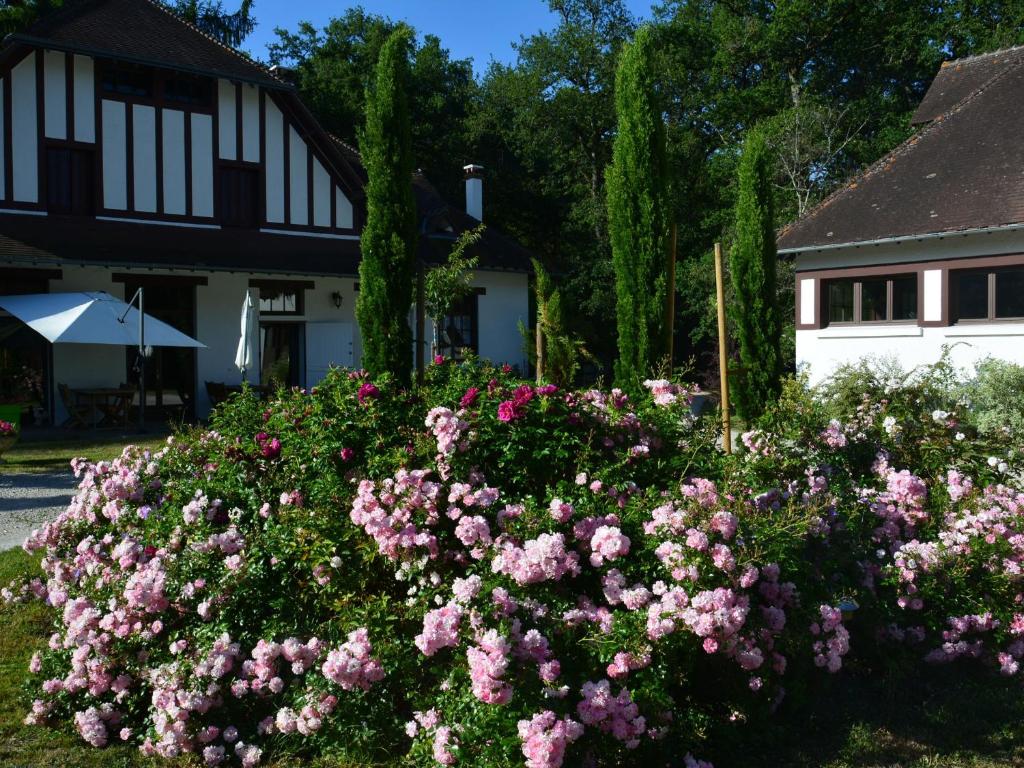 Guestroom Ligny-le-Ribault, 1 pièce, 4 personnes - FR-1-590-297