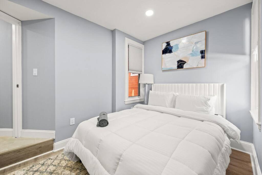 New! Cozy Apt in Center City! photo 1