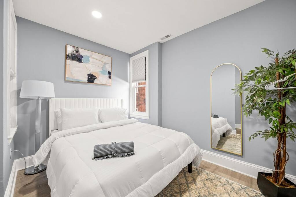 New! Cozy Apt in Center City! photo 3