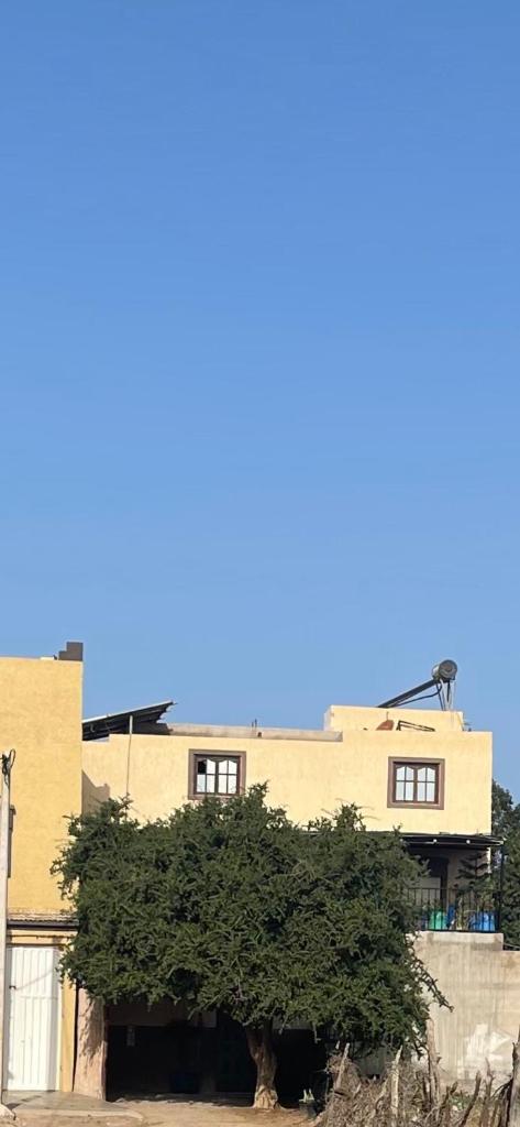 Riad Targante Takate 1 photo 1
