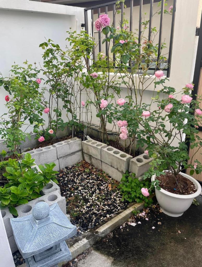 Hana House Hatyai photo 1