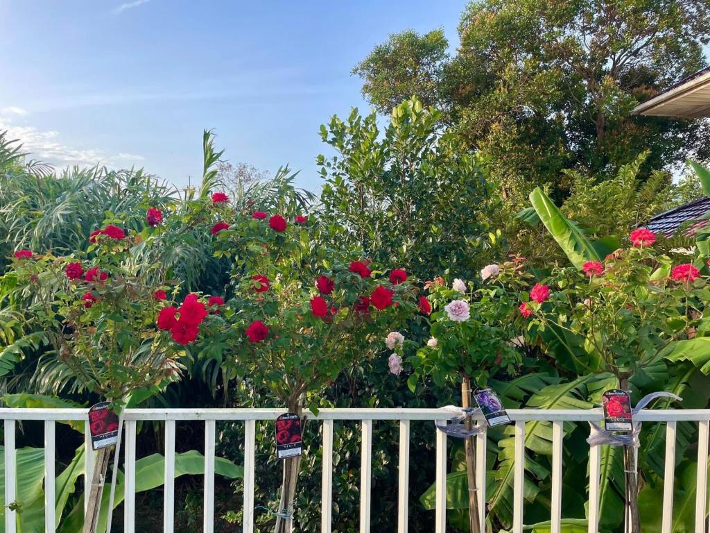 Hana House Hatyai photo 3