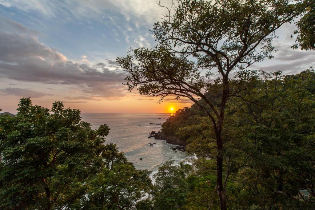 Arenas Del Mar Beachfront & Rainforest Resort Member of the Cayuga Collection photo 1