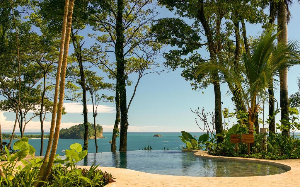 Arenas Del Mar Beachfront & Rainforest Resort Member of the Cayuga Collection photo 2